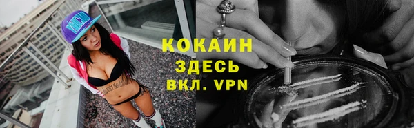 винт Верея