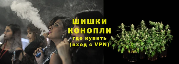 ALPHA PVP Бородино