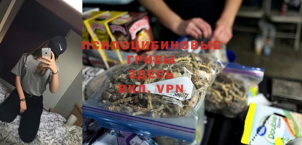 тгк Бронницы