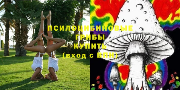 тгк Бронницы