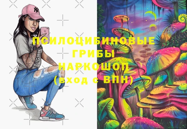 тгк Бронницы