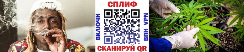 магазин    Горно-Алтайск  Бошки Шишки ГИДРОПОН 